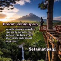 زهرا زهرا صنوبر لیماکشی